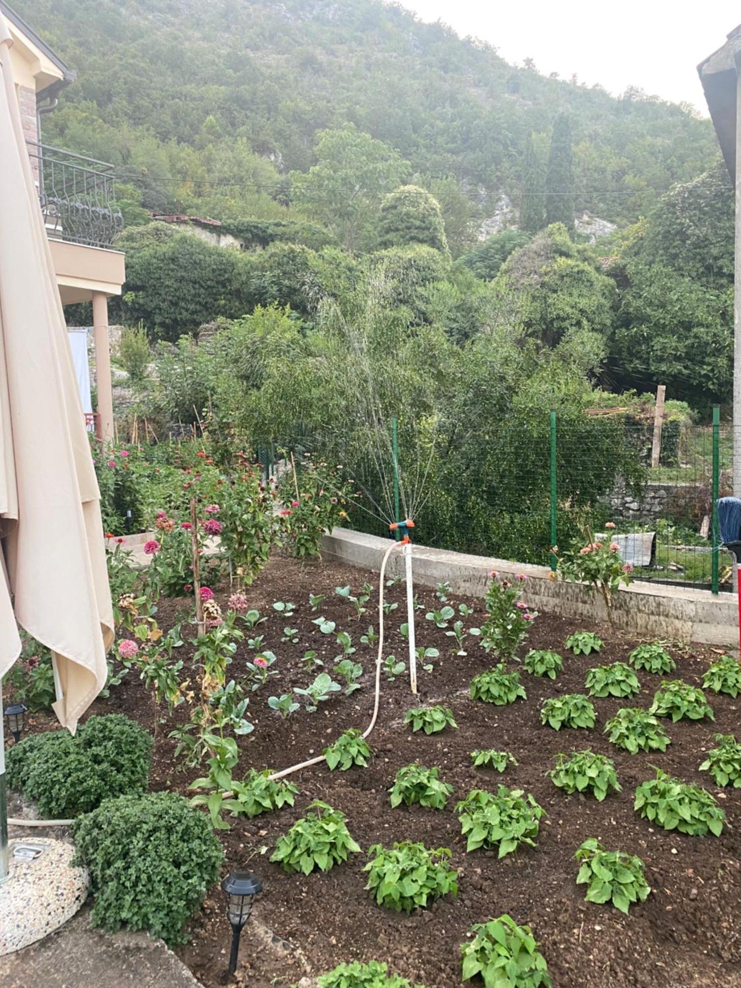 Village House Dunja Virpazar Εξωτερικό φωτογραφία